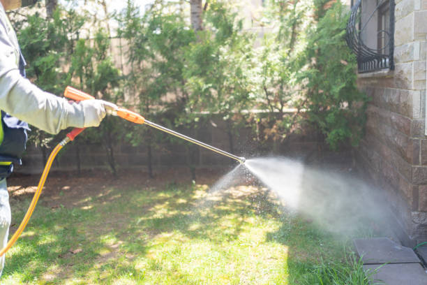 Best Local Pest Control Services  in Steelevle, IL